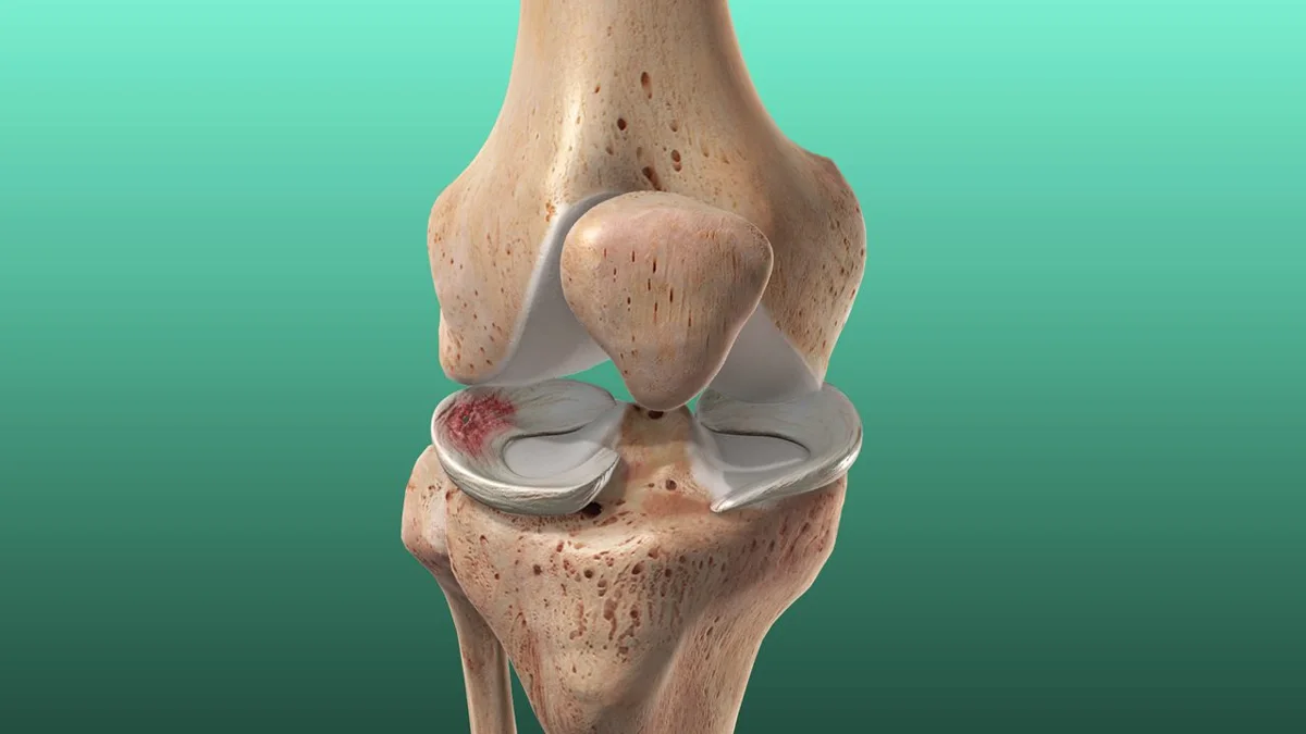 orthopedic specialist for knee in Englewood